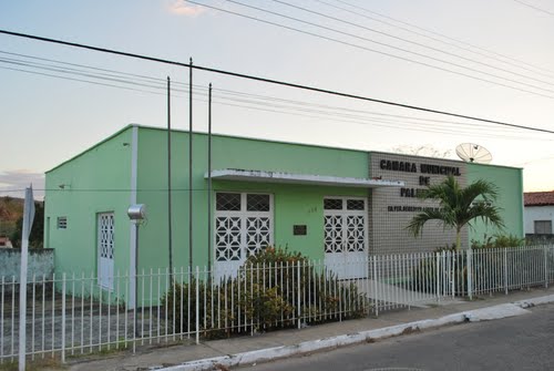 camara palmeirais.jpg