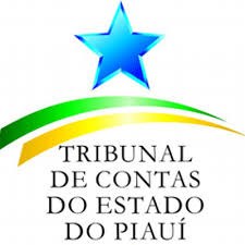TCE-PI 2.jpg